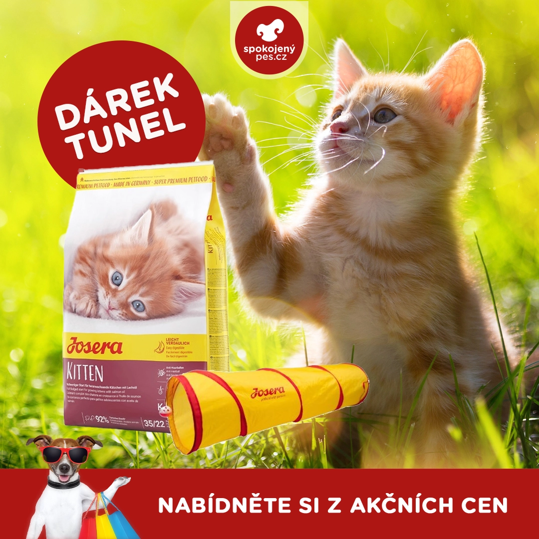 kocka 00016.webp